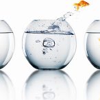 Change Management Workshop Indawo Training