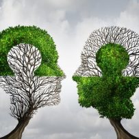 Coaching Indawo Training